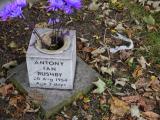 image of grave number 199317